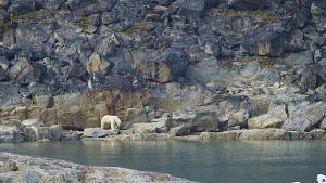 West Coast Spitsbergen